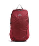 Gregory Jade 20 Lt Rc Wandelrugzak ruby red