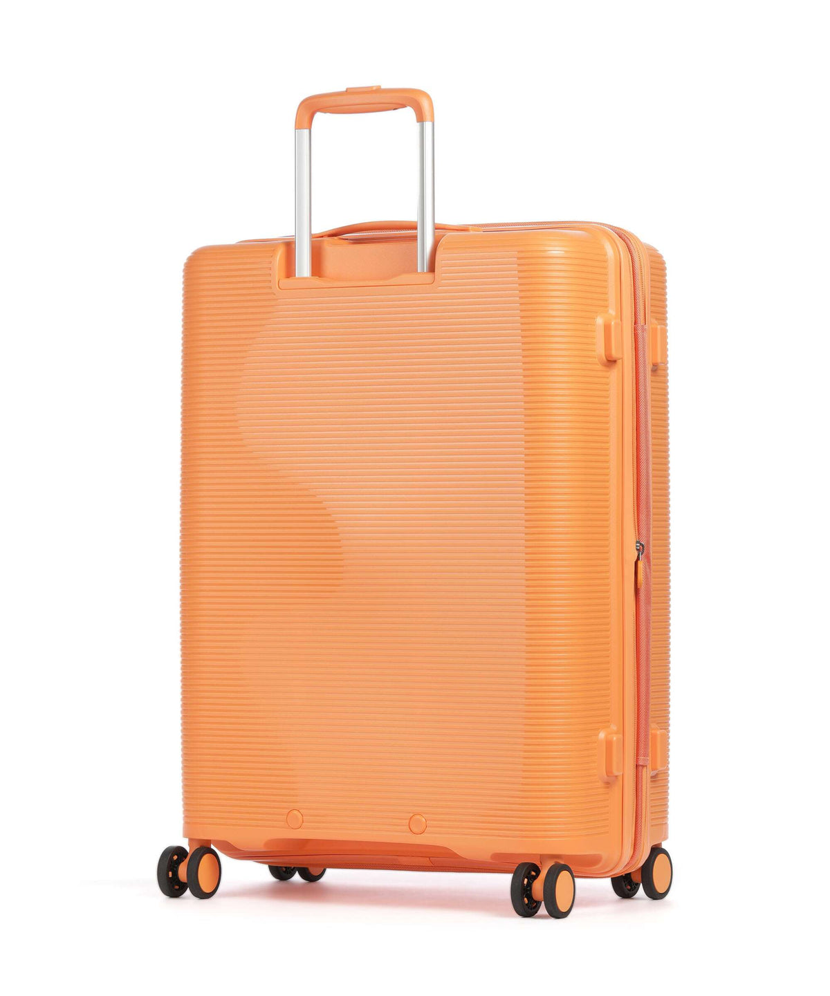 Echolac Forza M Spinner (4 wheels) apricot crush