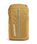 Patagonia Black Hole 25 Backpack pufferfish gold/beeswax tan