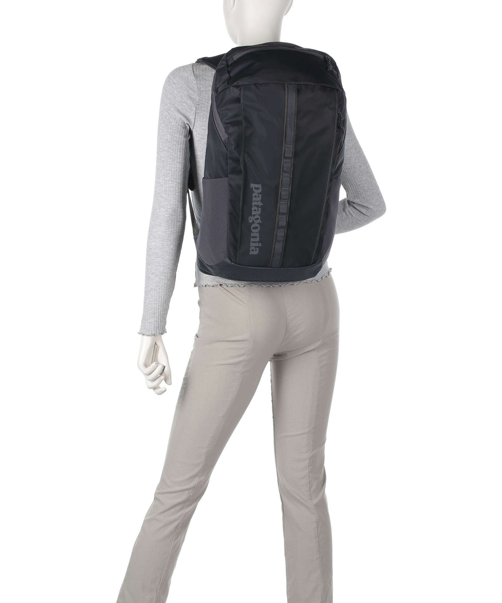 Patagonia Black Hole 25 Backpack birch white