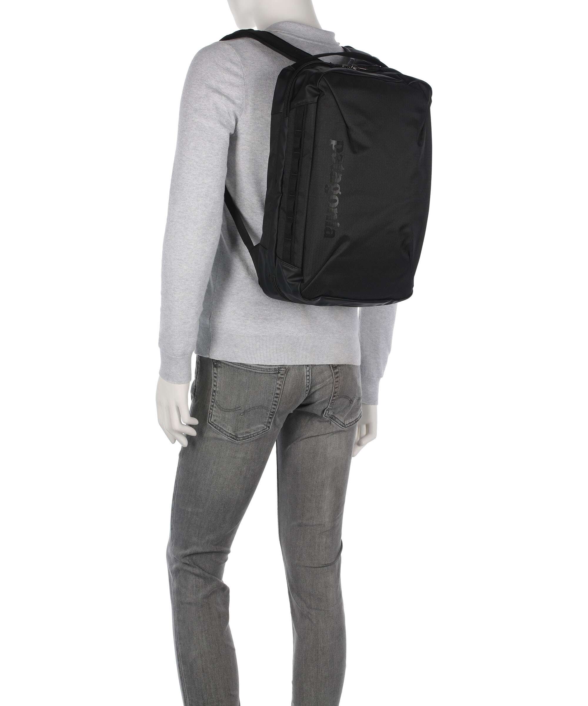 Patagonia Black Hole MCL Micro Travel backpack berry fig