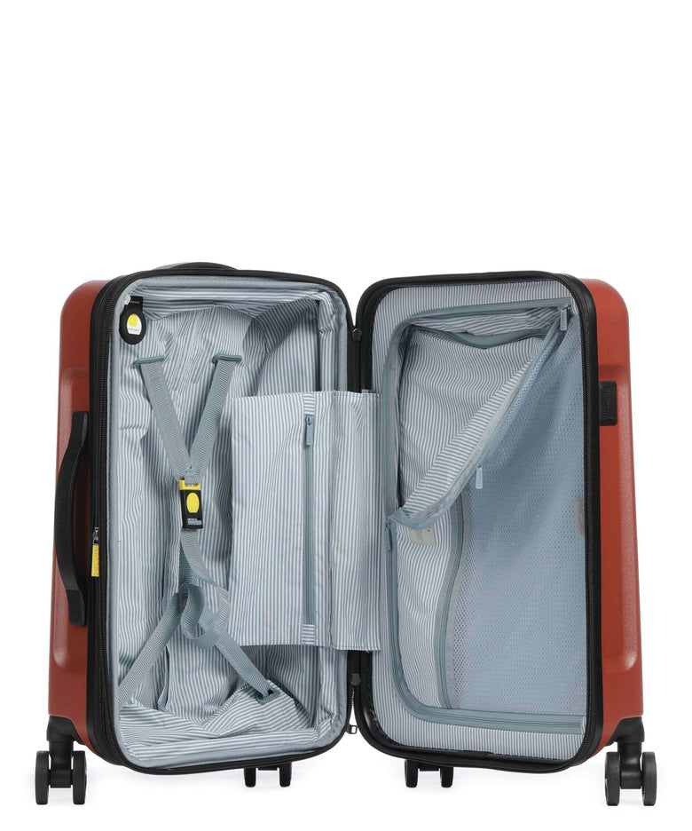 Delsey Paris Turenne 2.0 Spinner (4 wheels) backstein