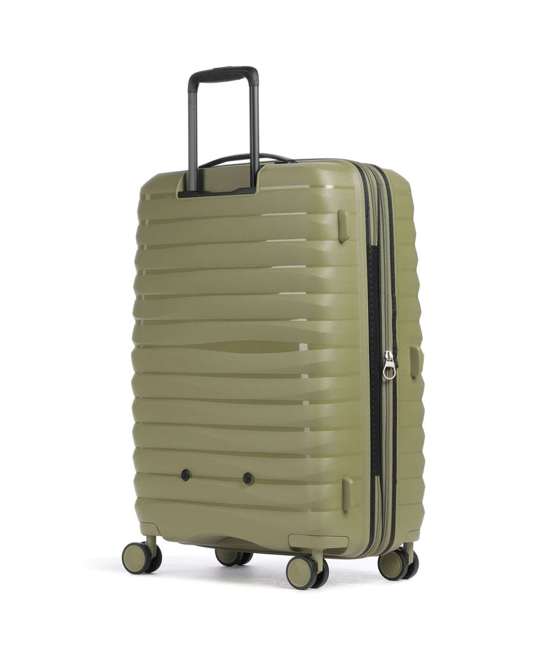 Jump Xwave Spinner (4 wheels) olive