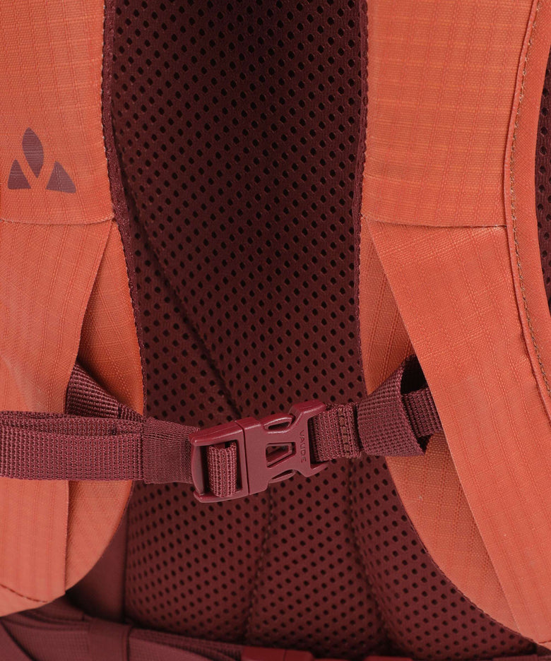 Vaude CityGo 23 II Backpack buckeye