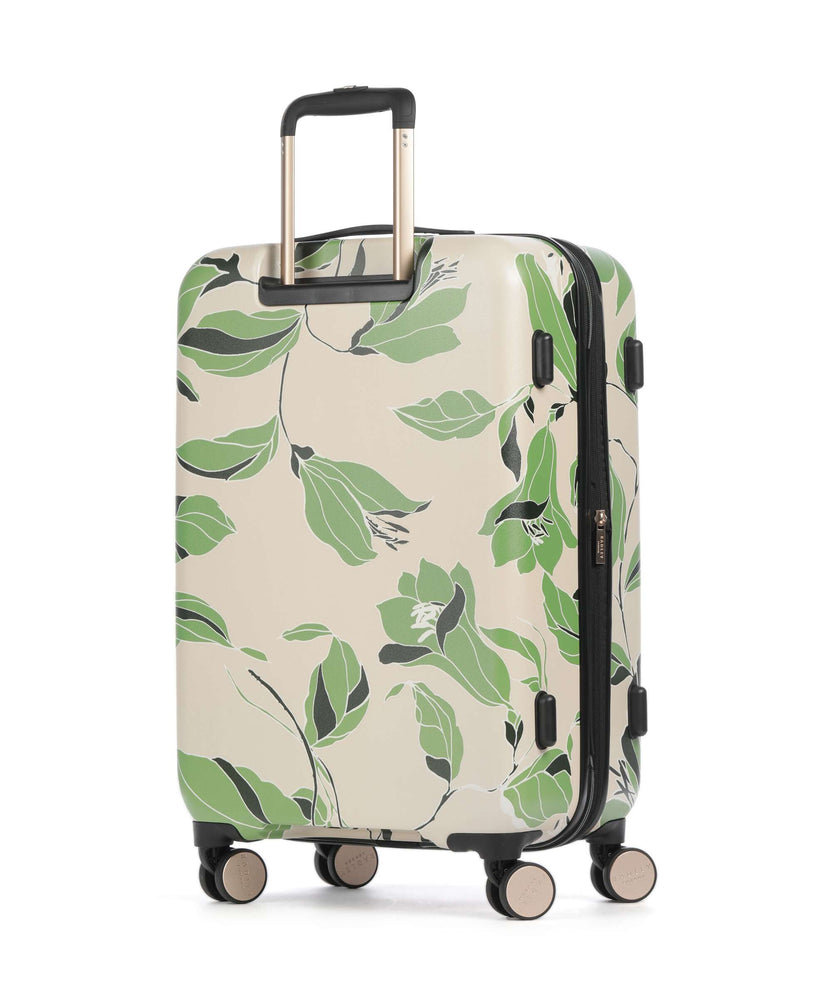 Radley London Southwell Gardens Suitcase set (4 wheels) stone