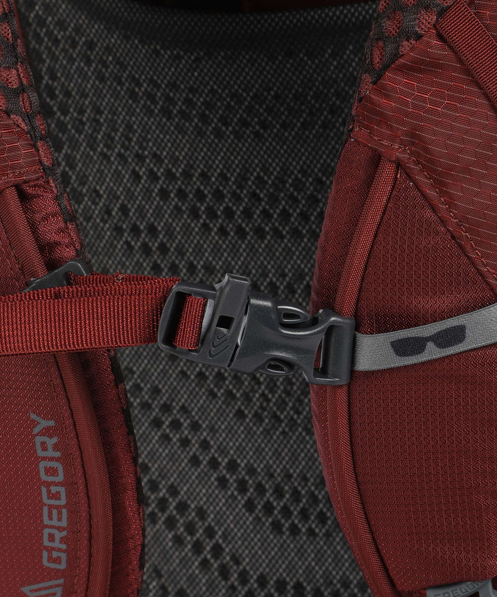 Gregory Baltoro 65 RC LG Trekking backpack brick red