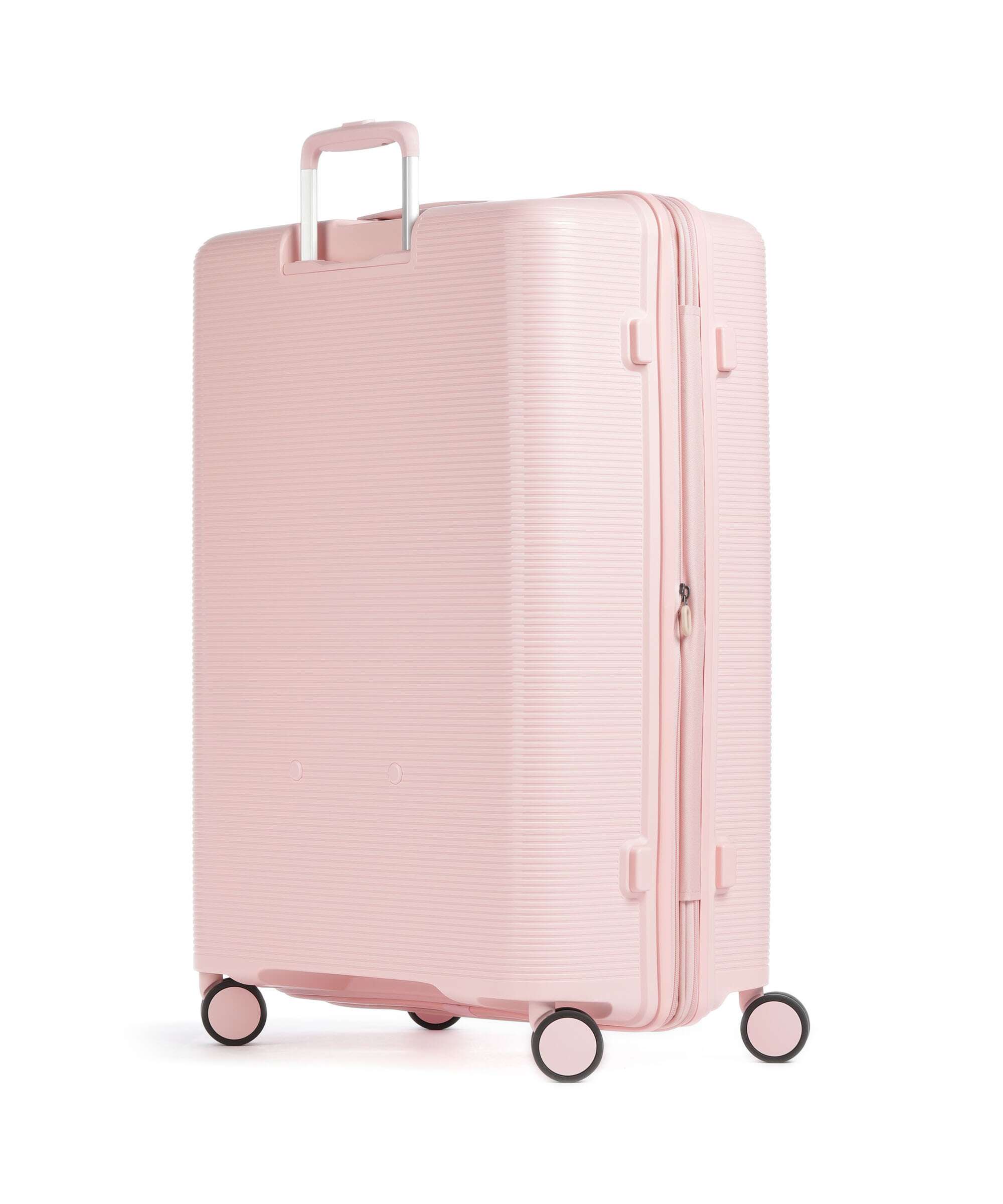 Echolac Forza L Spinner (4 wheels) pink