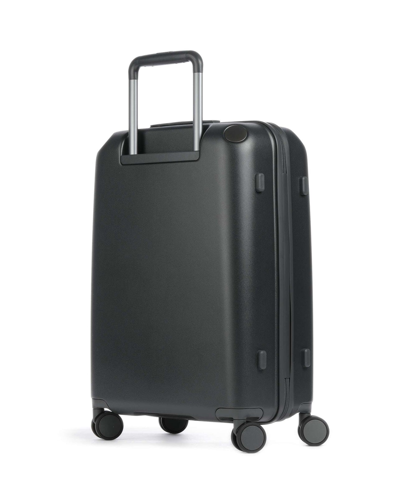 Echolac Panda M Spinner (4 wheels) anthracite/grey