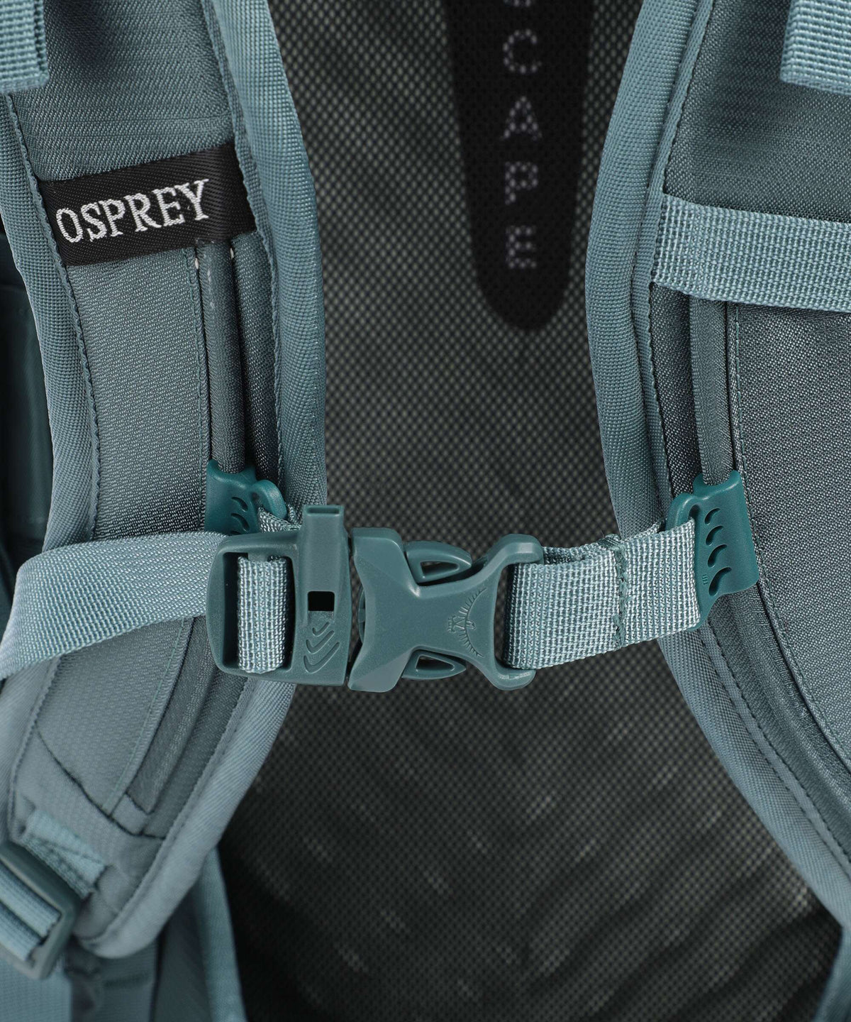 Osprey Fairview 40 Travel backpack cascade blue/torrent blue