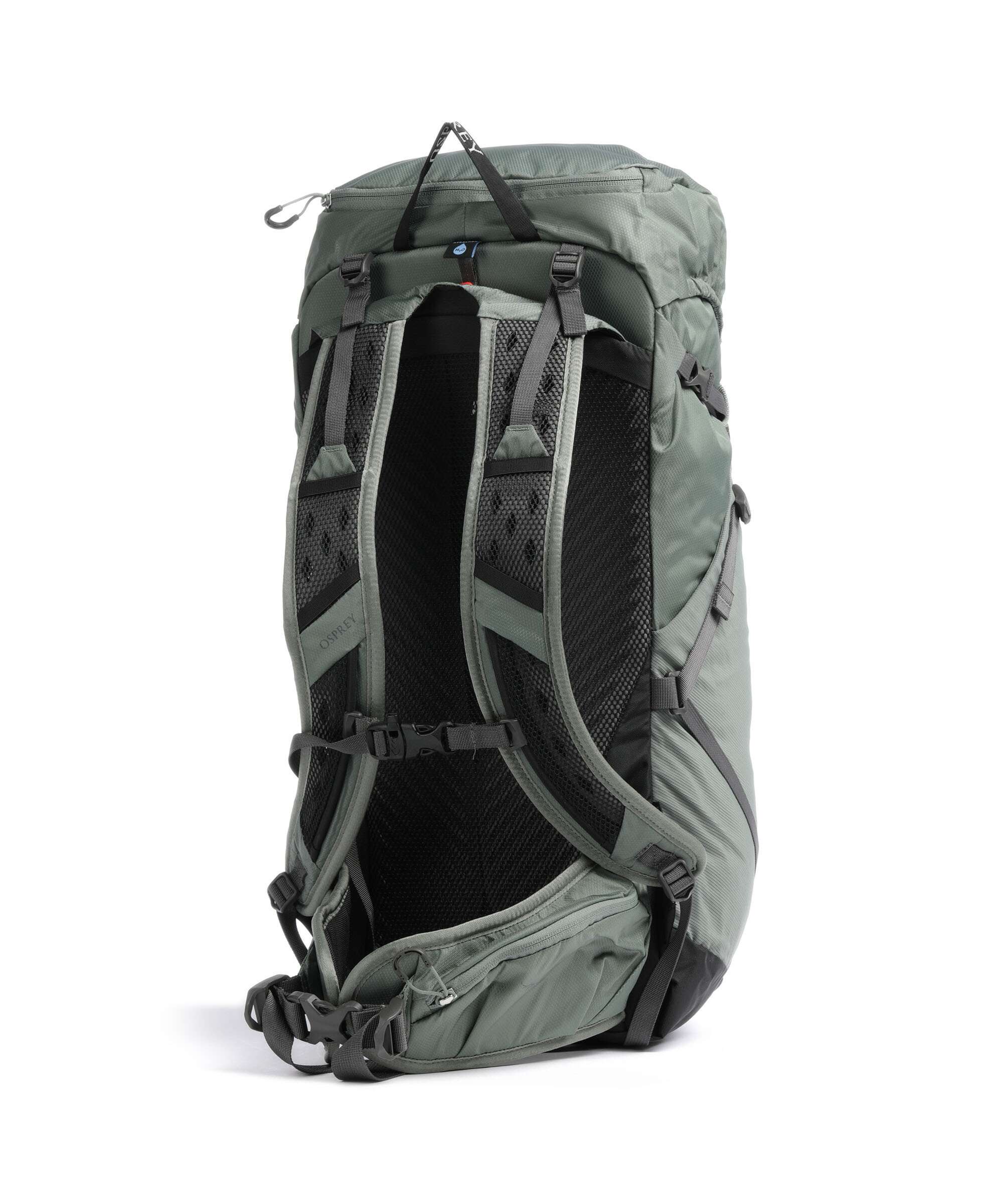 Osprey Sportlite 30 M/L Hiking backpack pine leaf green