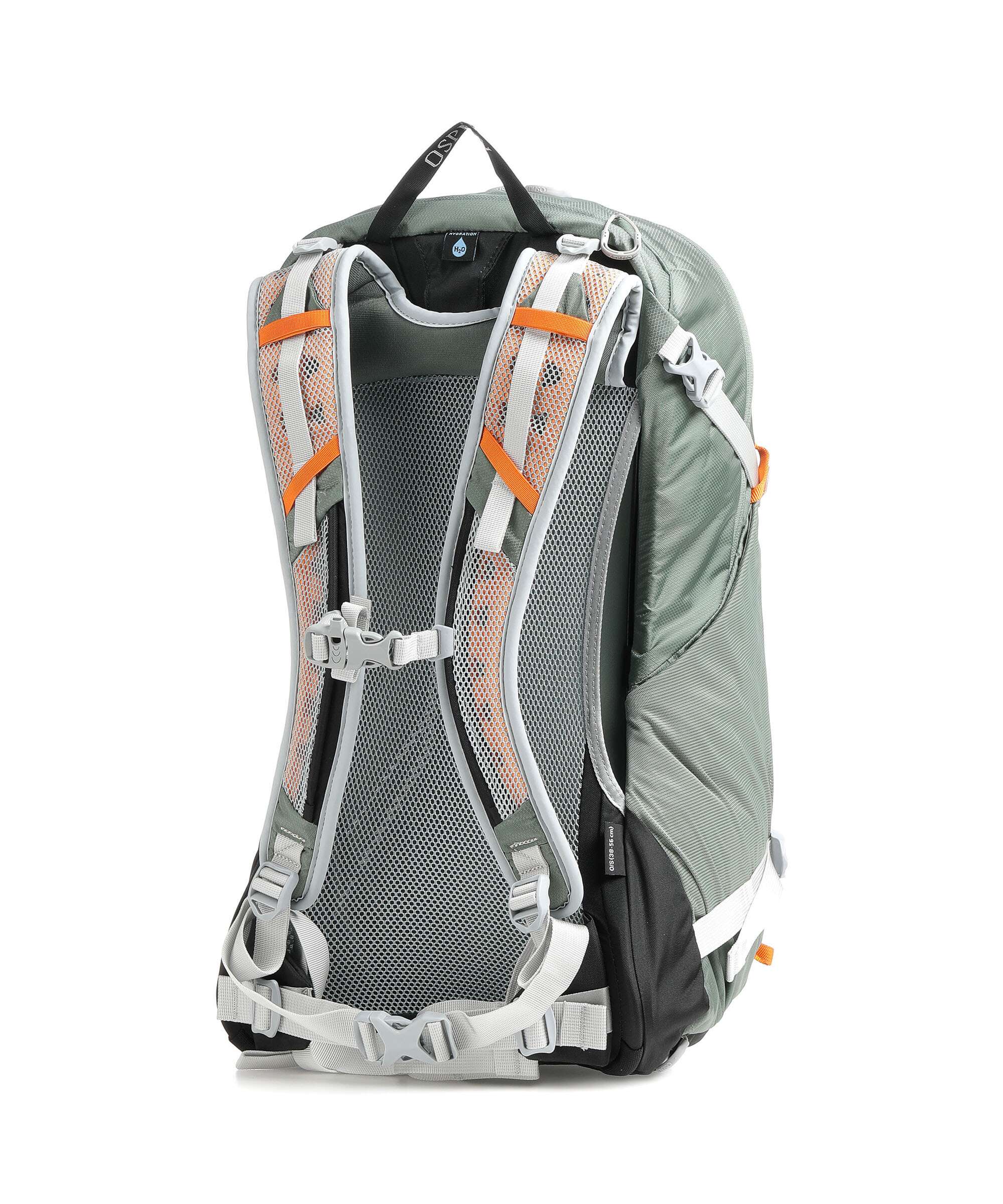 Osprey Hikelite 26 Hiking backpack pine leaf green