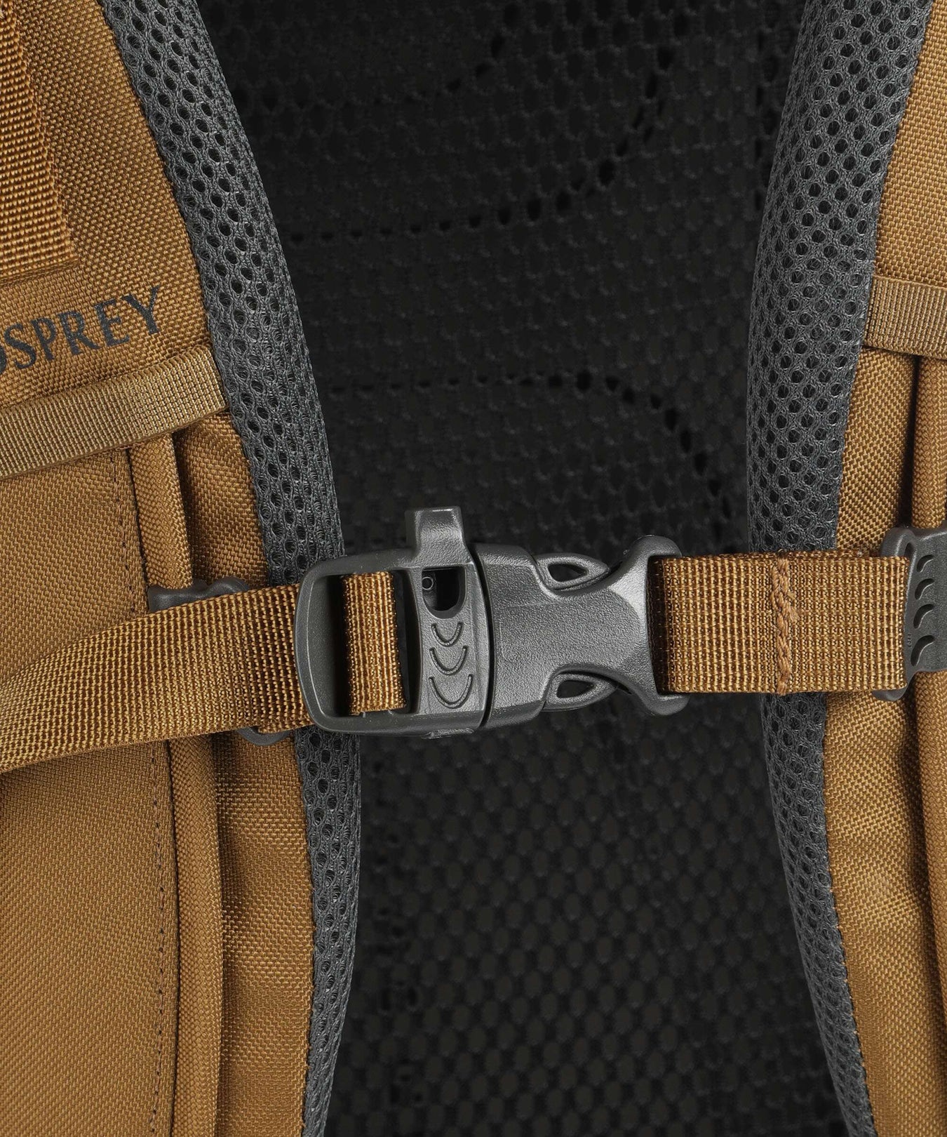 Osprey Rook 50 Trekking backpack histosol brown/rhino grey