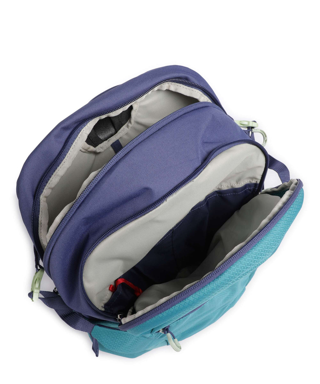 Osprey Daylight Plus Backpack blue spikemoss/alkaline